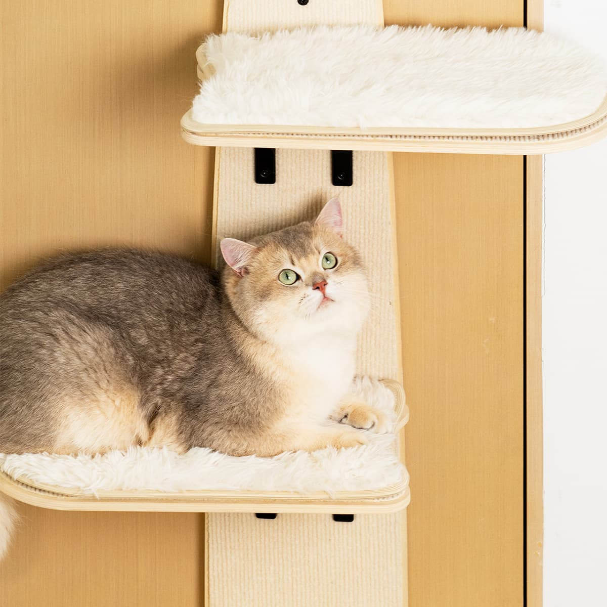 Griffix® - Árbol para gatos colgado en la puerta